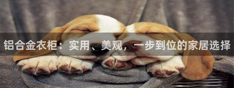 菲律宾天辰娱乐