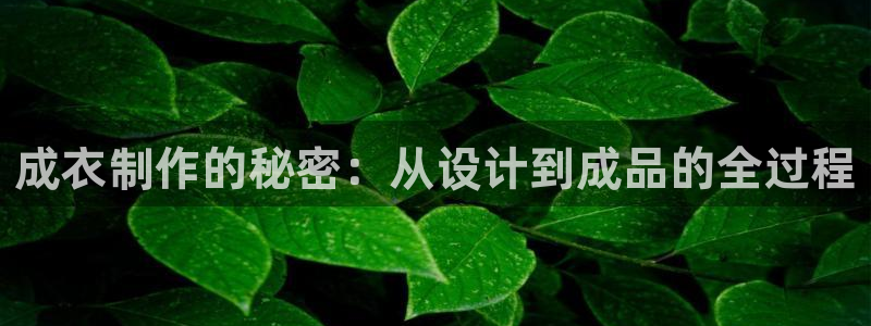 天辰娱乐官方