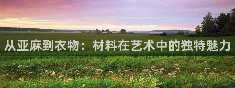 天辰娱乐国际