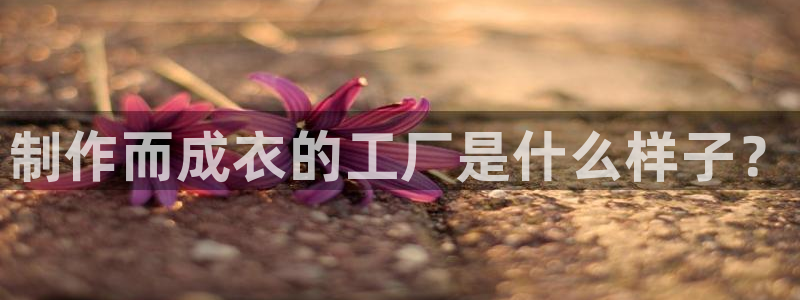 天辰娱乐卡