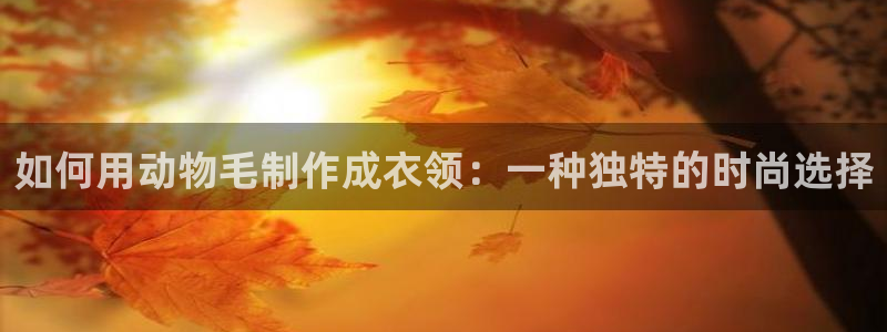 天辰娱乐登录测试