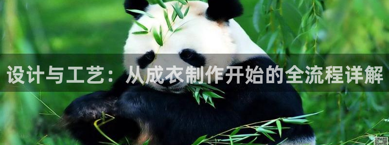 天辰娱乐平台