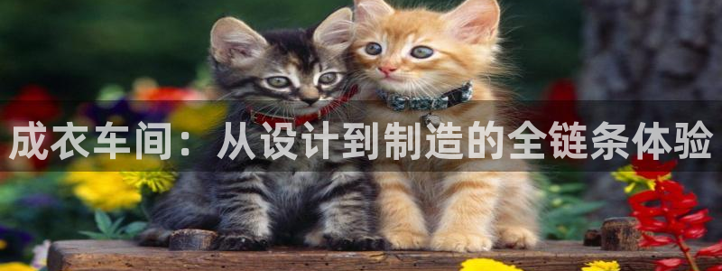 天辰娱乐登录网址