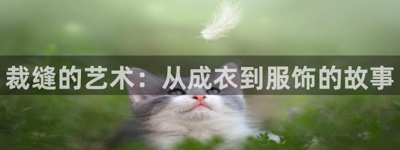 天辰娱乐ttf
