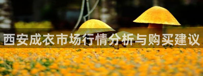 天辰娱乐平台地址在哪里