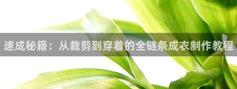 天辰娱乐内部