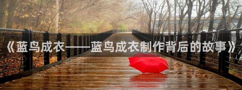 天辰娱乐61116