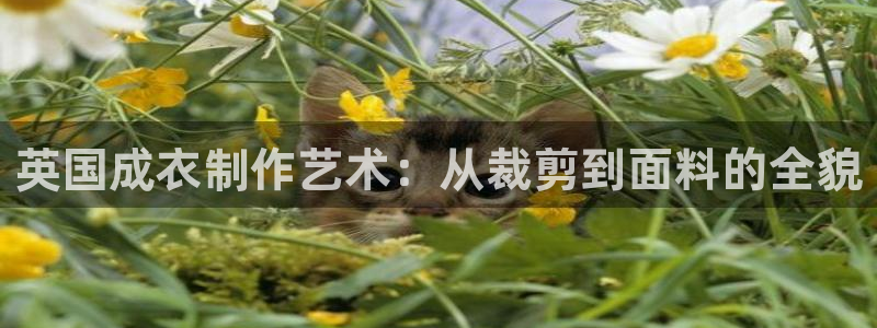 天辰娱乐官方登录入口