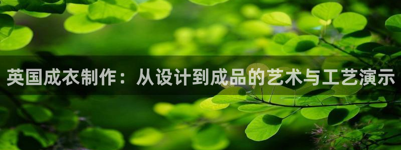 天辰娱乐待遇