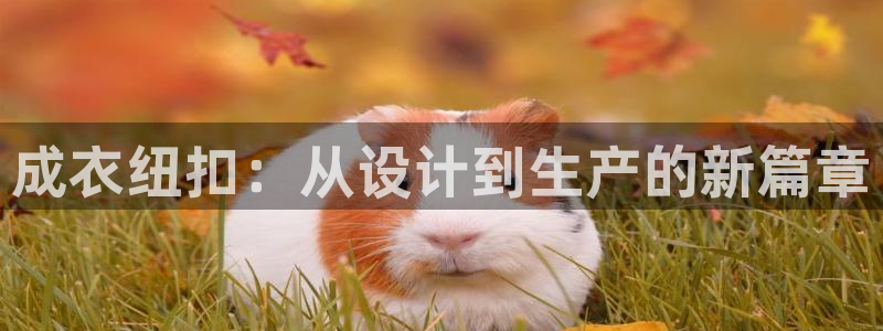 天辰彩票娱乐