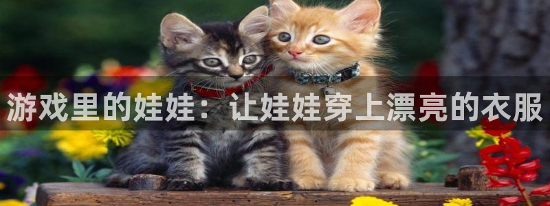 天辰娱乐测试