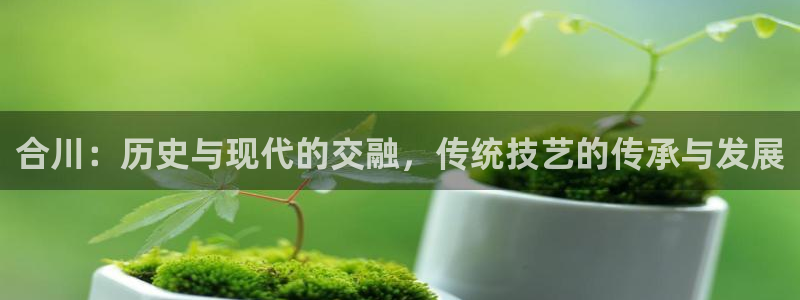 天辰娱乐平台地址在哪里