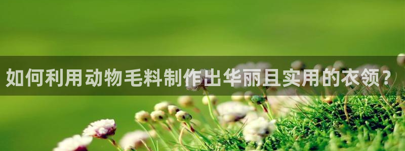 天辰娱乐彩票