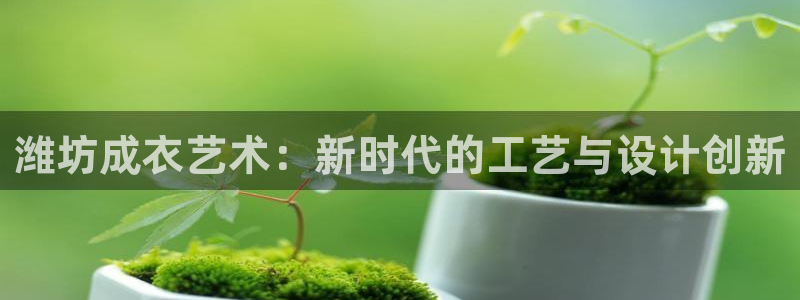 天辰娱乐游戏平台怎么样