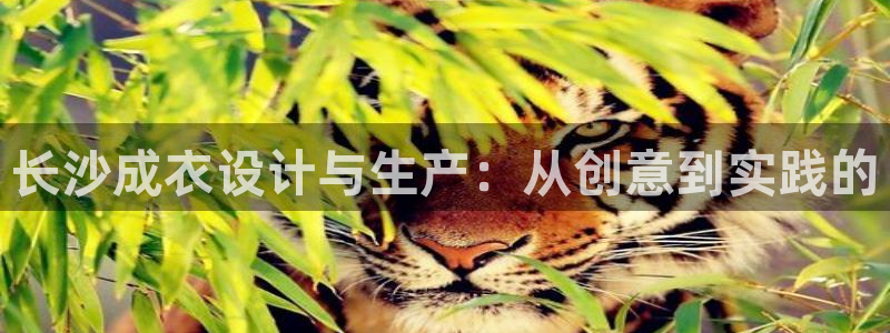 天辰娱乐登录网址