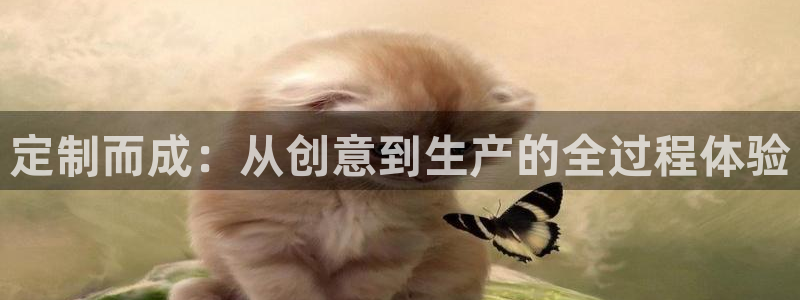 菲律宾天辰娱乐