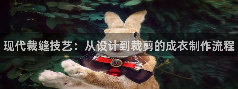 天辰娱乐招商