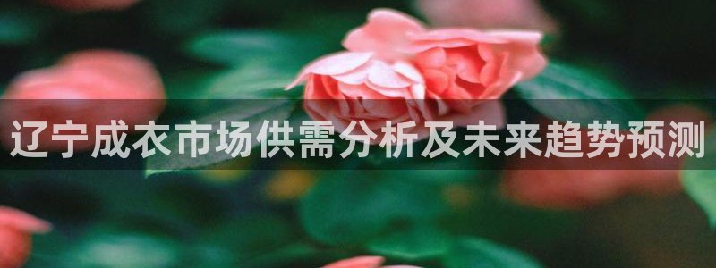 天辰娱乐主管