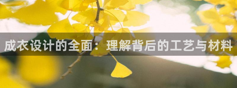 天辰娱乐会所