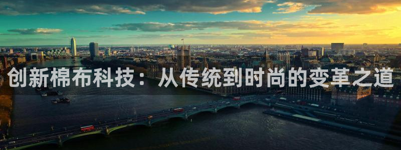 天辰娱乐 . 鱼刺