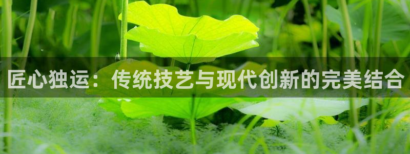 常州天辰娱乐
