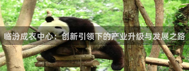 菲律宾天辰娱乐