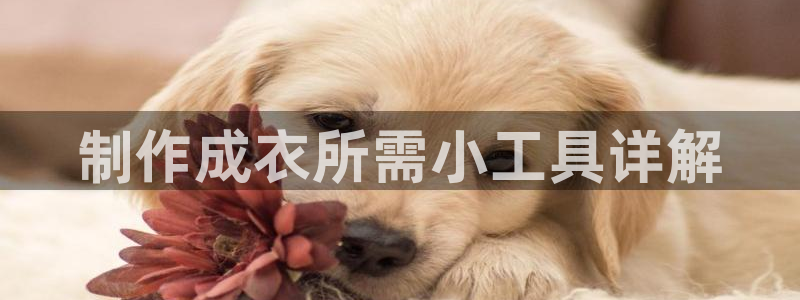 天辰娱乐登陆平台