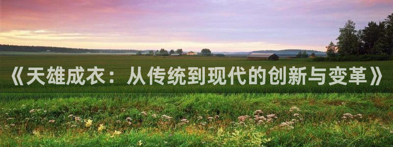 天辰娱乐视频