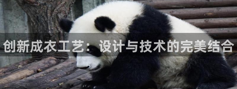 天辰娱乐60447