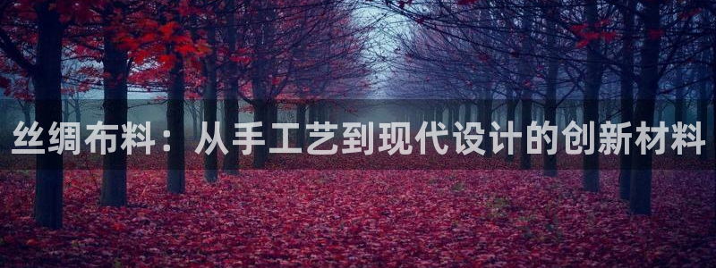 天辰娱乐2