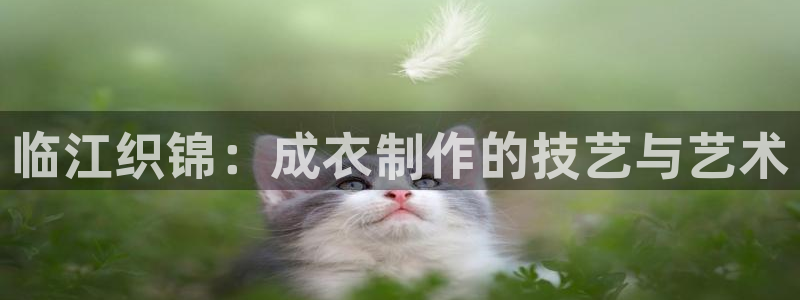 天辰娱乐 首选