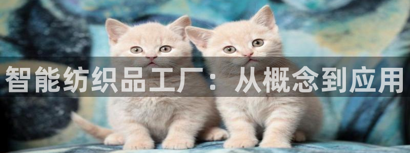 天辰娱乐游戏平台怎么样