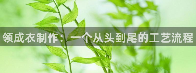 天辰娱乐557696