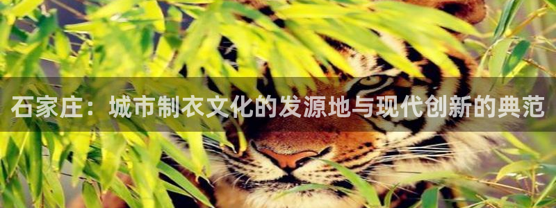 天辰娱乐连接