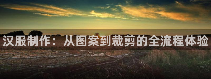 天辰娱乐上级
