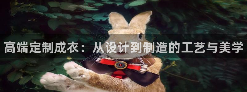 天辰娱乐小姐
