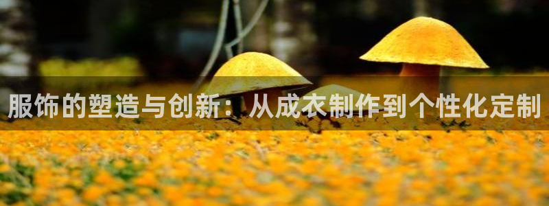 nba天辰娱乐