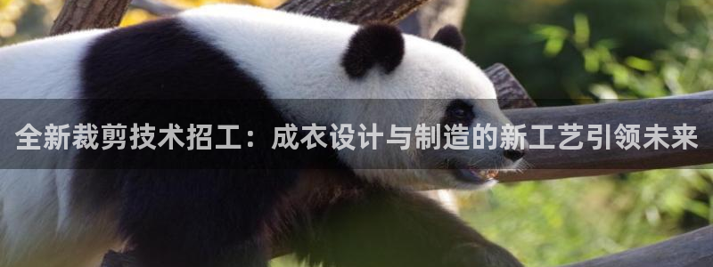 手机上怎么下载天辰娱乐